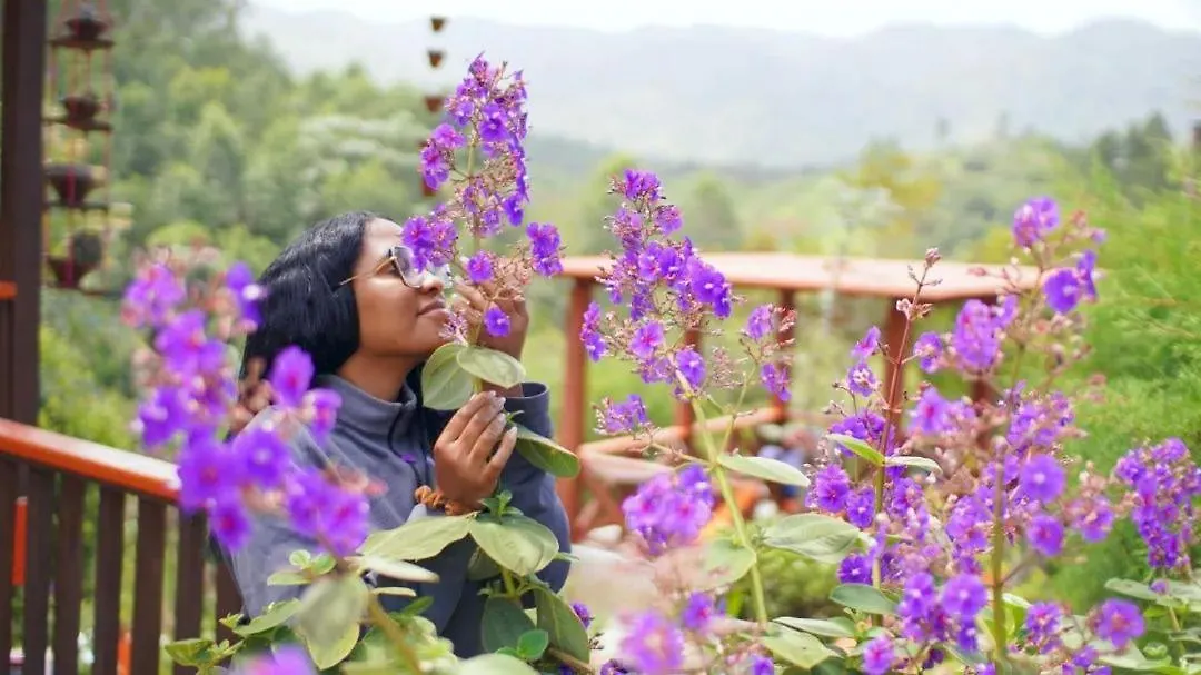 Villa Cantar De Otono Constanza Chata